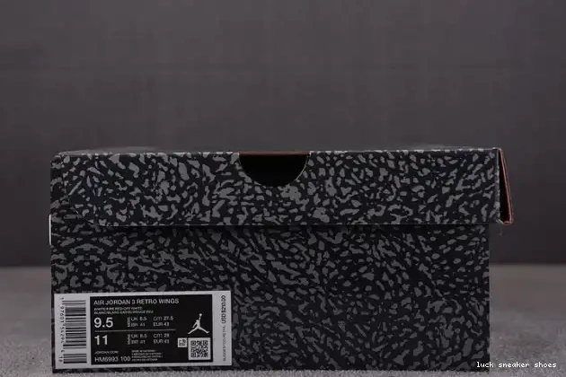 Rep LUCY Retro Jordan 3 HM6993-100 Wings 0527